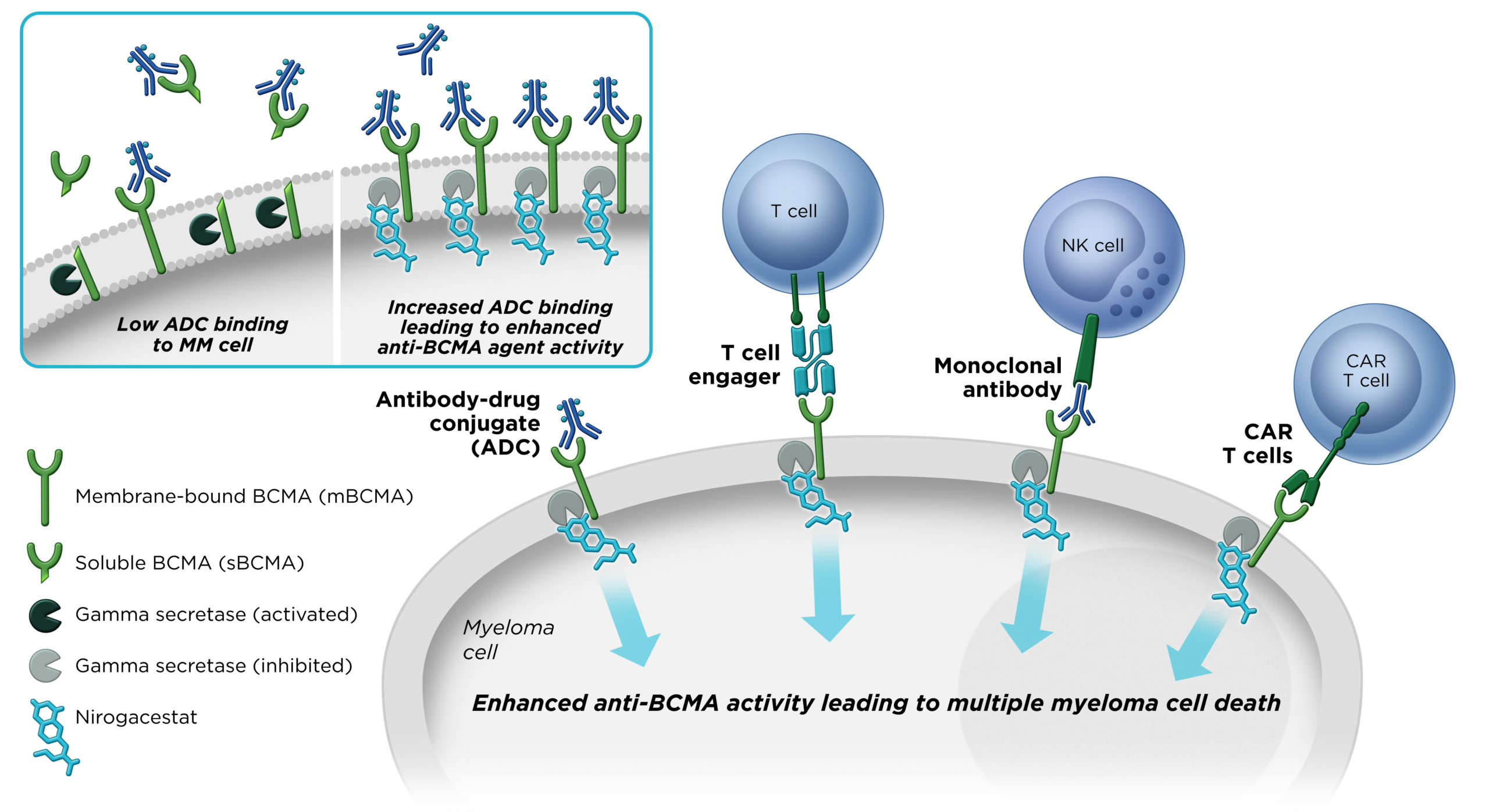 Nirogacestat – Desmoid Treatment - SpringWorks Therapeutics