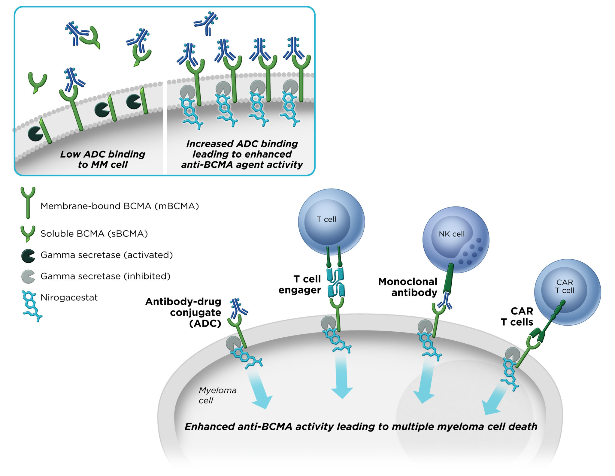 Nirogacestat – Desmoid Treatment - SpringWorks Therapeutics